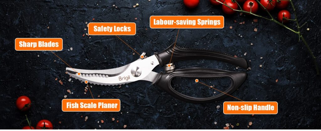 Brigii Spring-Loaded Shears – KS05Black-min