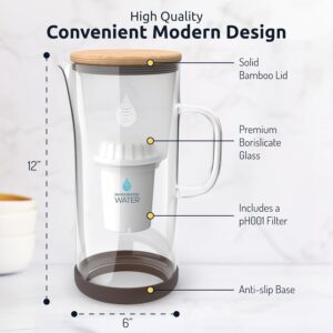 Best Water Filter Pitchers for Clean Drinking 20 19 Invigorated Water pH Vitality Glass Pitcher-min