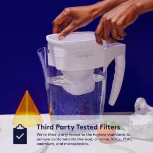 Best Water Filter Pitchers for Clean Drinking 8 7 Aquagear 10-Cup Water Filter Pitcher-min