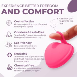 menstrual disc