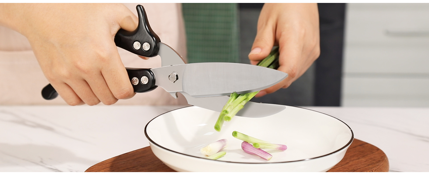 best kitchen shears